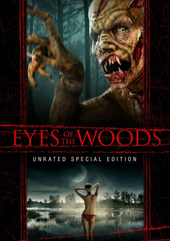 Глаза леса (2009) постер